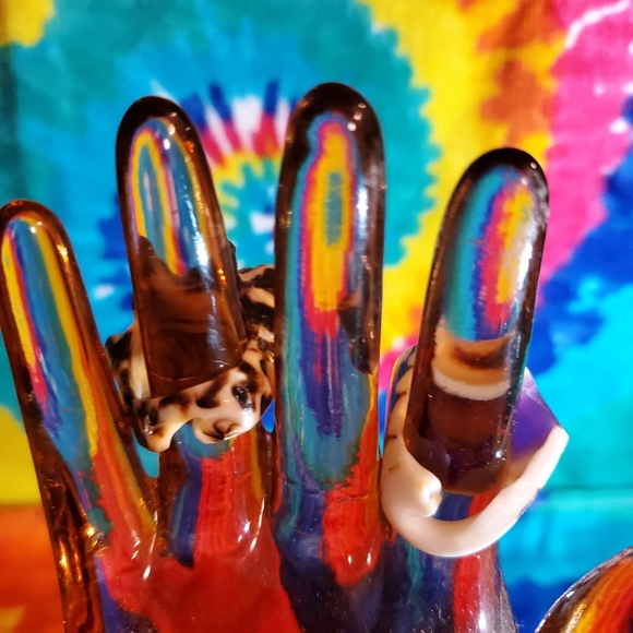 Shell rings - Picture 2 of 4